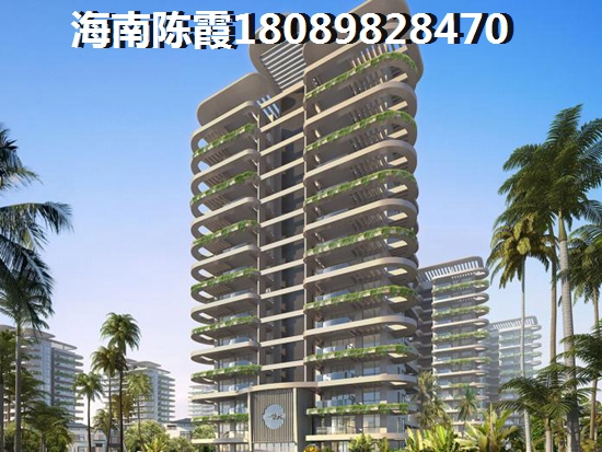 在鲁能山海天海石滩叁号除了买房，文昌新房还能买到这些！