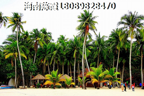 海南房价多少钱一平