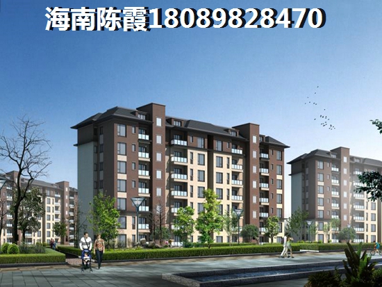海南乐东九所房地产还有啥优势？