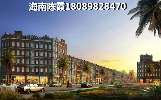 海南乐东县80万新房在什么地段？乐东九所房产240平~