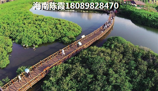 海口市全年气候适合过冬的区域是哪里？