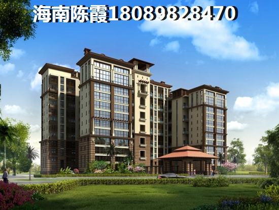 为什么海南以后发展前景会很高