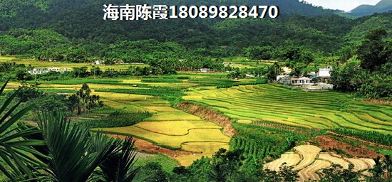 海南万宁新房投资分析！