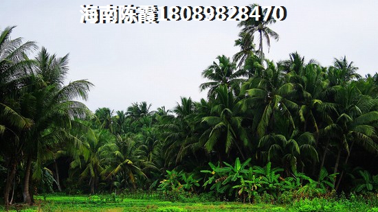 海南海口市哪些项目值得买？